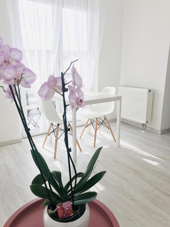 קצ'קמט Belvarosi Studio Apartman מראה חיצוני תמונה